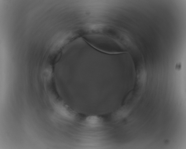 X0000113860231200910151244
