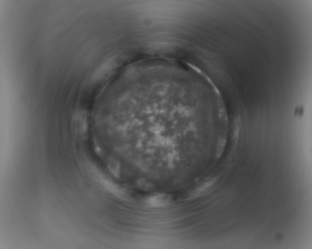 X0000113860232200910151244