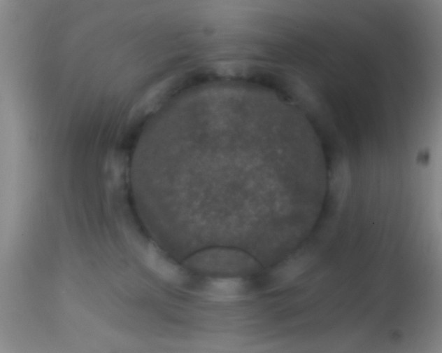 X0000113860233200910151244