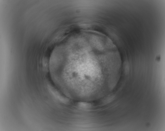 X0000113860234200910151244