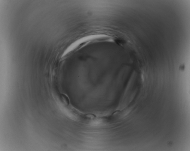 X0000113860235200910151244