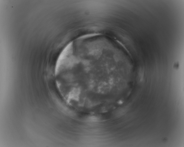 X0000113860236200910151243