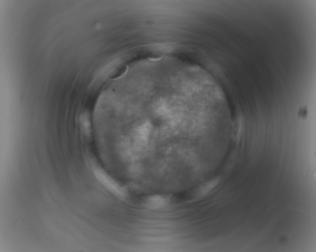 X0000113860238200910151243