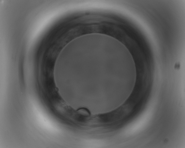 X0000113860239200910151243