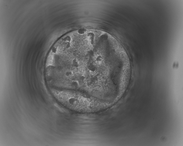 X0000113860241200910151243