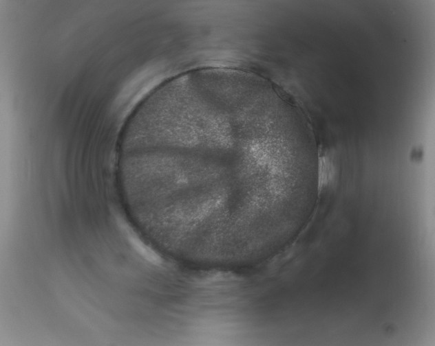 X0000113860243200910151243