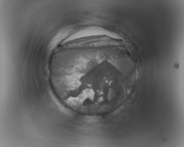 X0000113860245200910151243