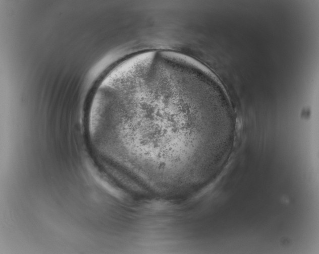 X0000113860246200910151243