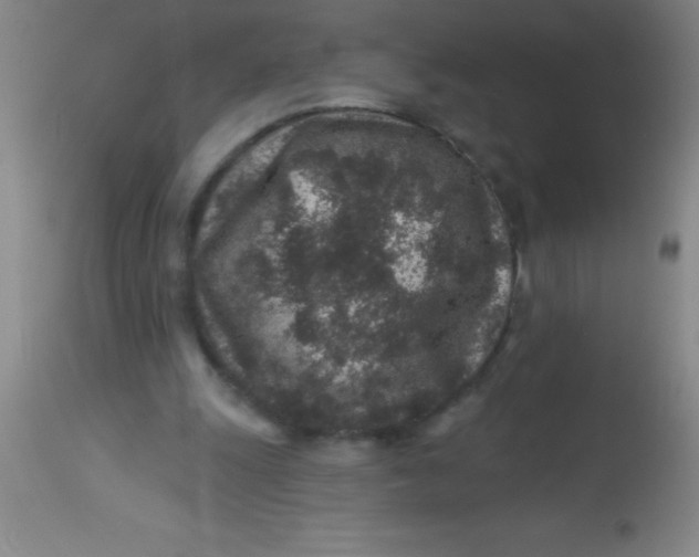 X0000113860247200910151243