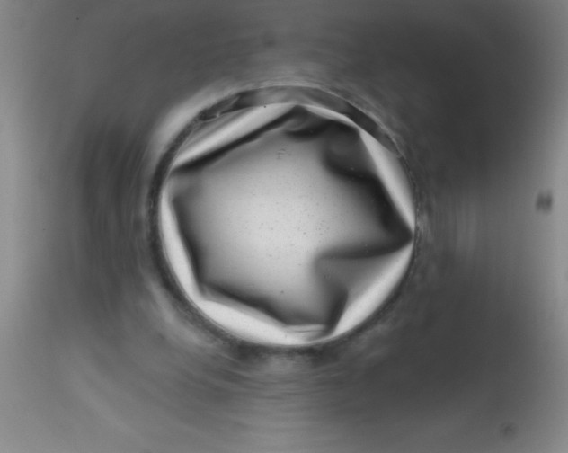 X0000113860248200910151243