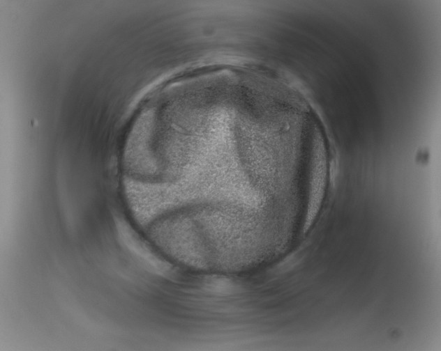 X0000113860249200910151243