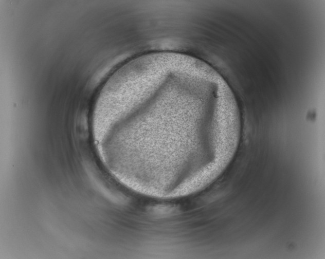 X0000113860251200910151243