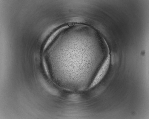 X0000113860252200910151243