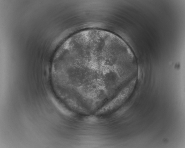 X0000113860253200910151243