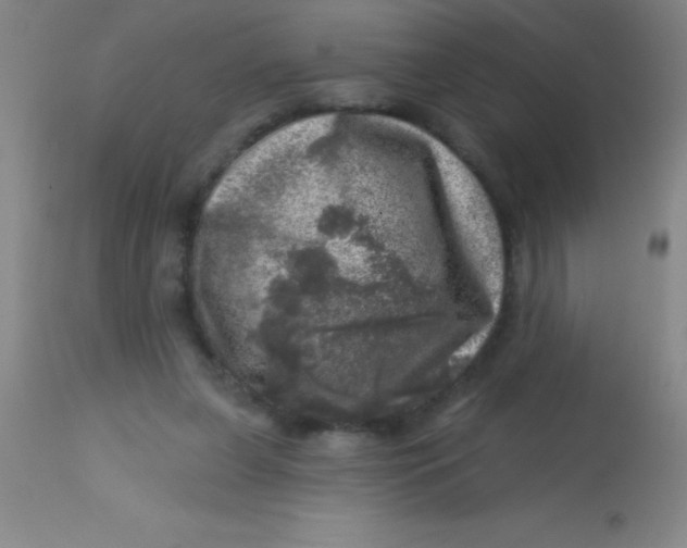 X0000113860255200910151243