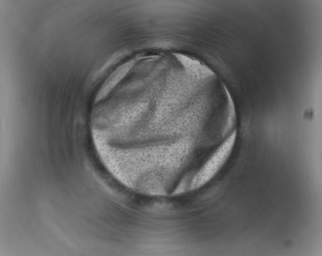 X0000113860256200910151243