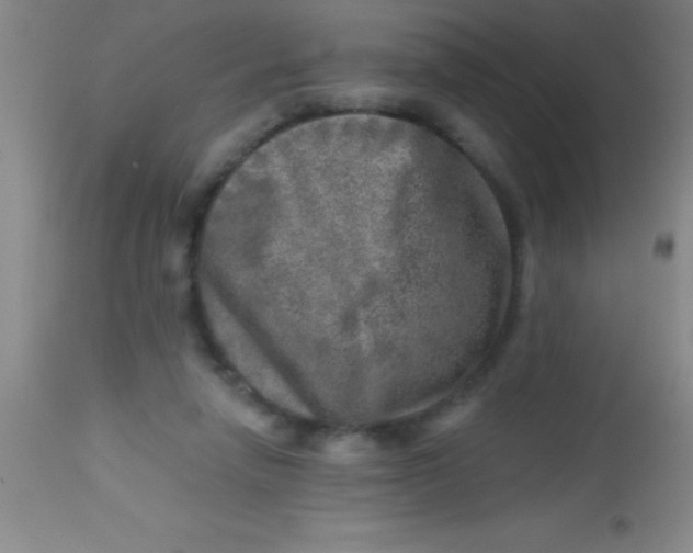 X0000113860258200910151243