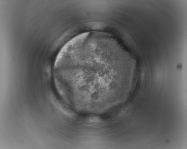 X0000113860262200910151243