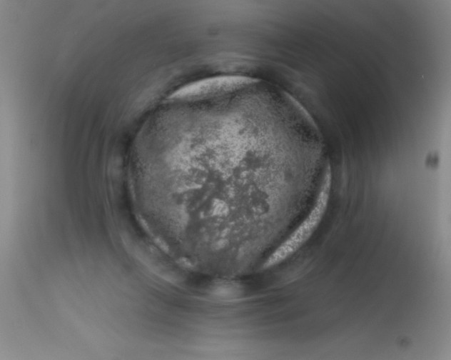 X0000113860263200910151243