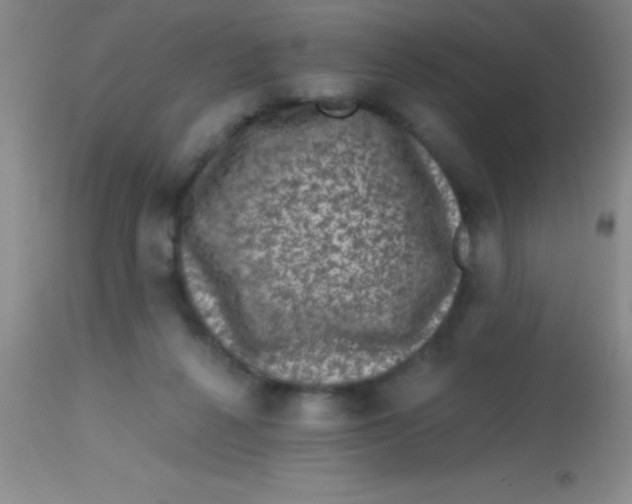 X0000113860264200910151243