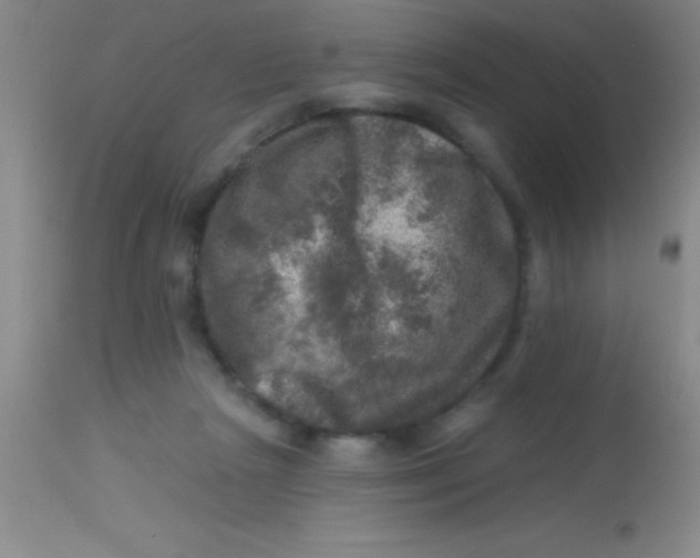 X0000113860265200910151243