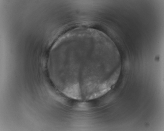 X0000113860268200910151243