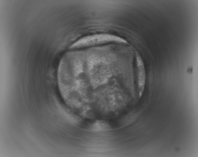 X0000113860270200910151243