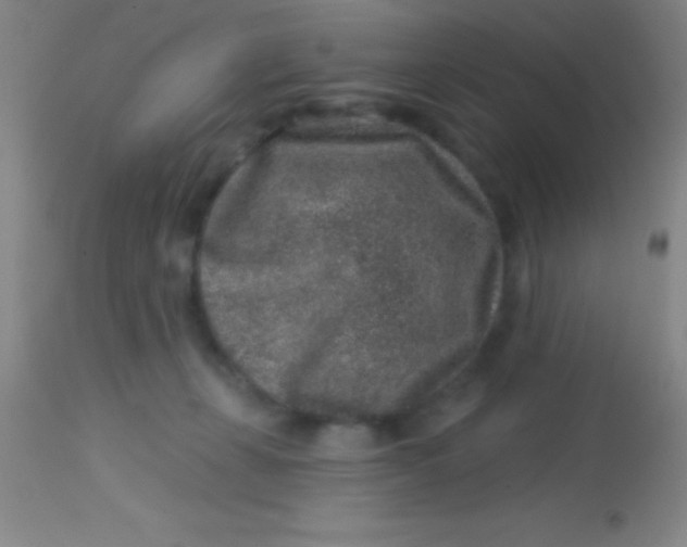 X0000113860271200910151243