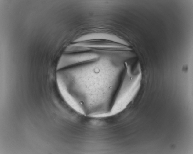 X0000113860272200910151243