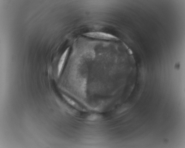 X0000113860274200910151243