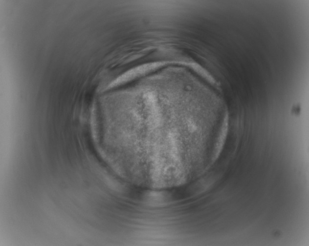 X0000113860277200910151243