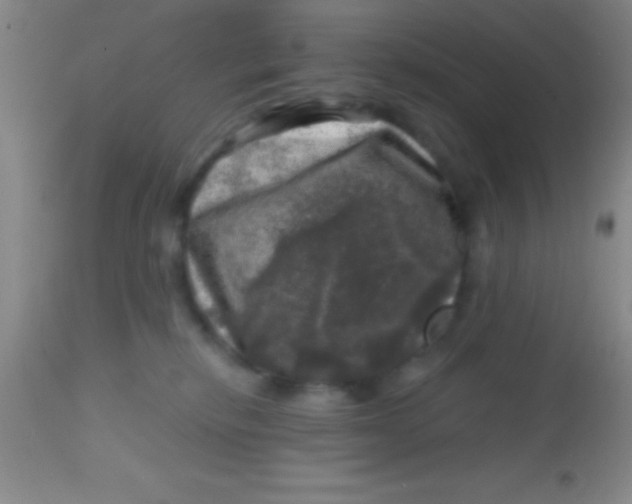 X0000113860278200910151243