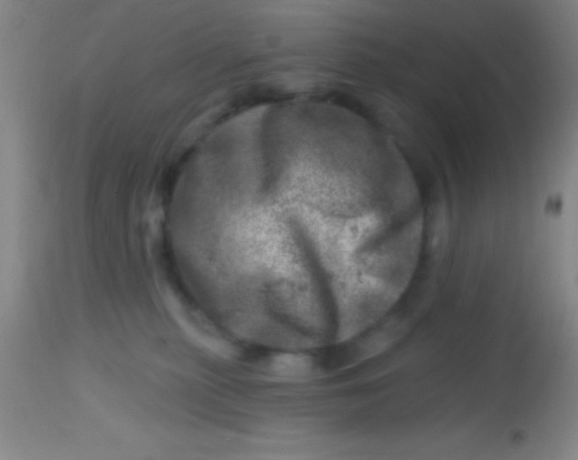 X0000113860279200910151243
