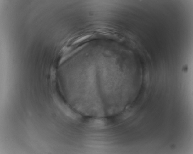 X0000113860282200910151243