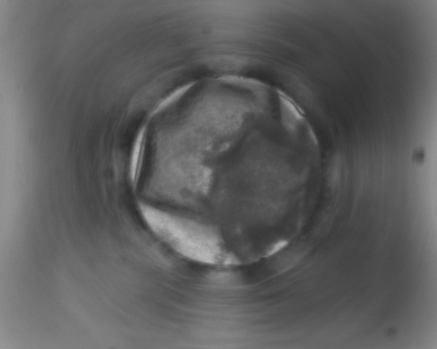 X0000113860283200910151243