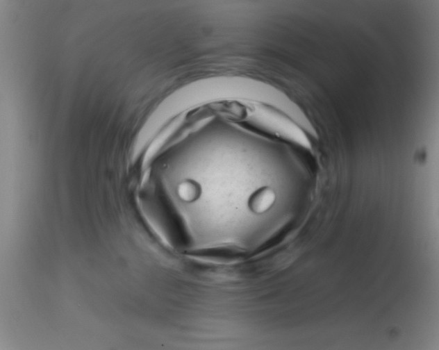 X0000113860284200910151243