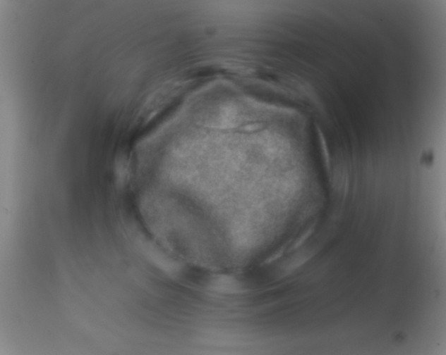 X0000113860285200910151243