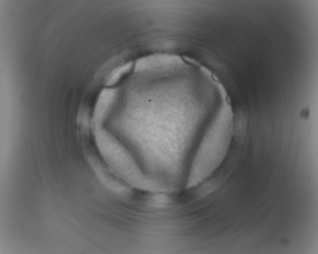 X0000113860287200910151243
