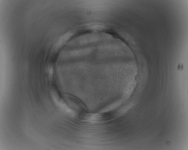 X0000113860288200910151243