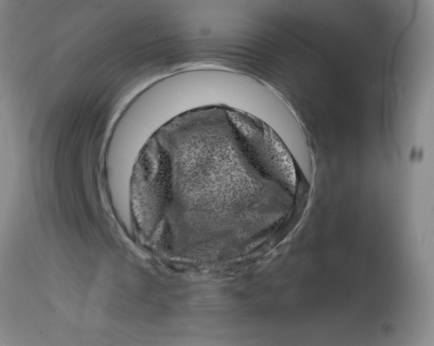 X0000113860289200910151243