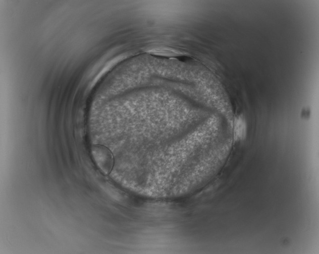 X0000113860291200910151243