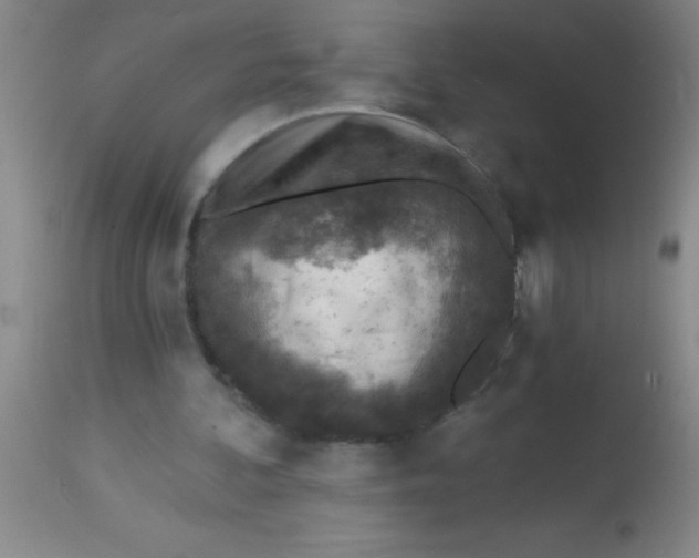 X0000113860292200910151243