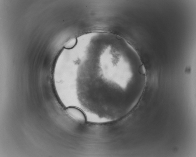 X0000113860293200910151243