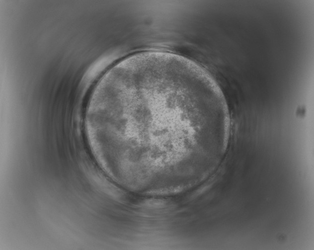 X0000113860294200910151243
