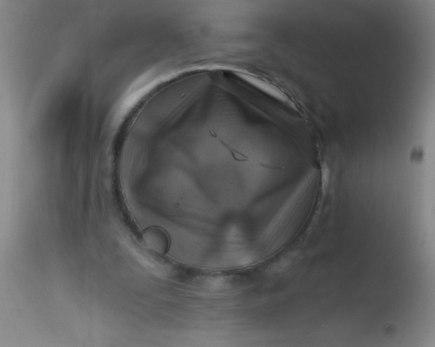 X0000113860295200910151243