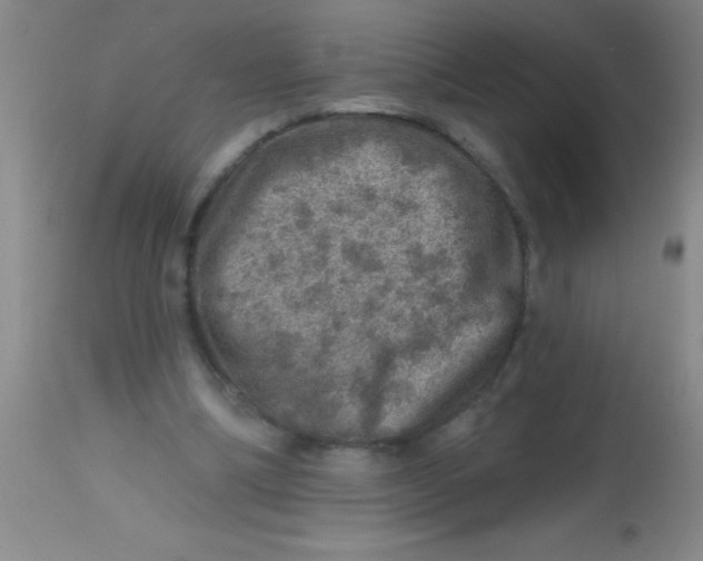 X0000113860298200910151242