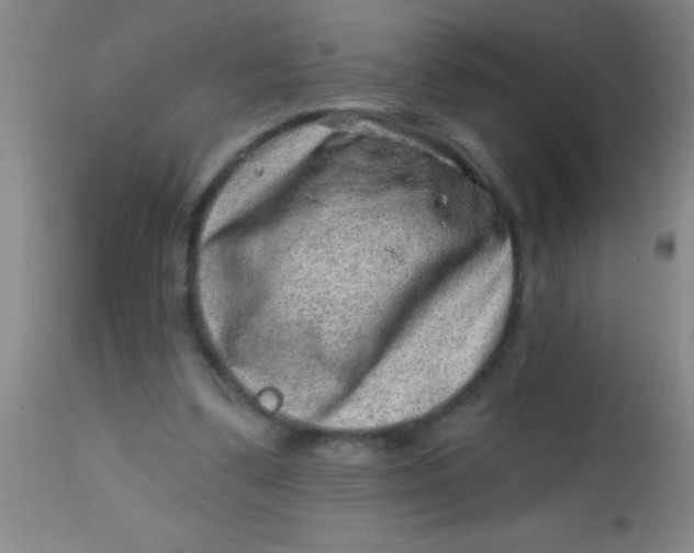 X0000113860299200910151242