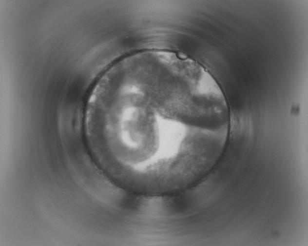X0000113860301200910151242