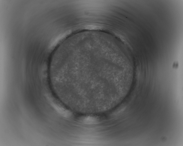 X0000113860303200910151242