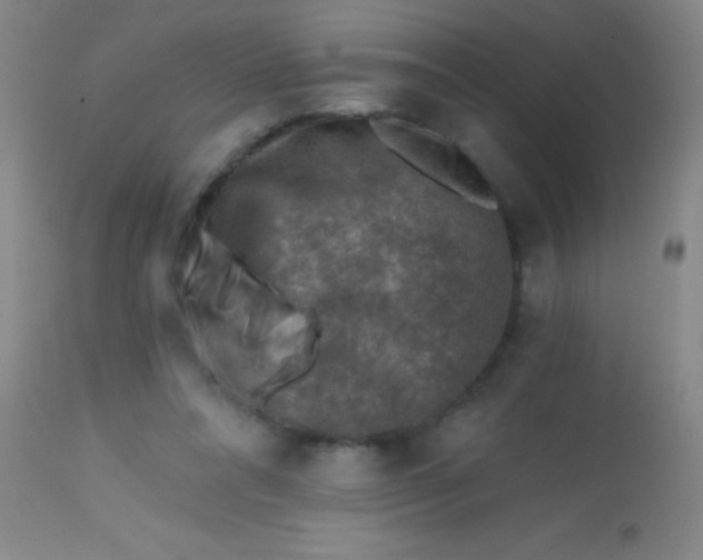X0000113860304200910151242